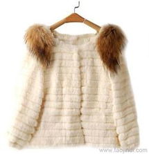 貉子毛皮草供应与批发信息 优质产品与价格指南