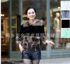 貉子毛皮草供应与批发指南 价格分析与采购渠道